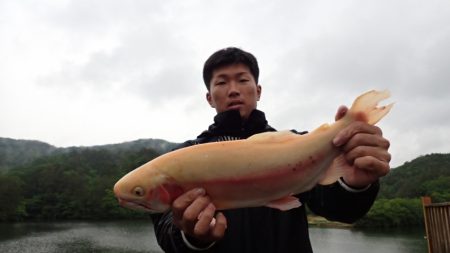 フィッシングレイクたかみや 釣果