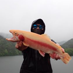 フィッシングレイクたかみや 釣果