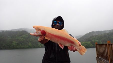 フィッシングレイクたかみや 釣果