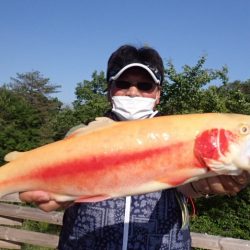 フィッシングレイクたかみや 釣果