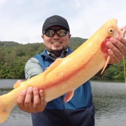 フィッシングレイクたかみや 釣果