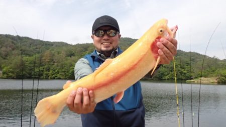 フィッシングレイクたかみや 釣果