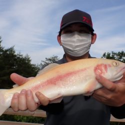 フィッシングレイクたかみや 釣果