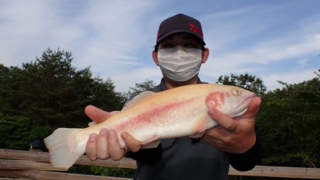 フィッシングレイクたかみや 釣果