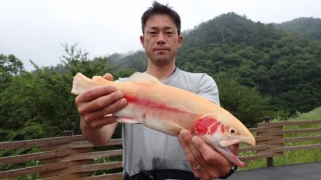 フィッシングレイクたかみや 釣果