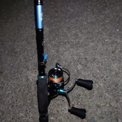 やったぜ!アオリ自己新!!