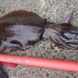 久しぶりのヒット～✌️