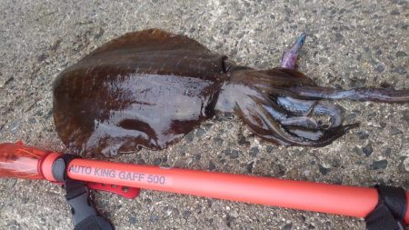 久しぶりのヒット～✌…