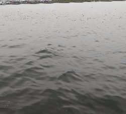 昼からでも何とか