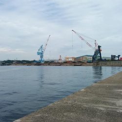 朝から播磨新島のキス調査