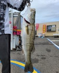 和歌山マリーナシティ釣り公園 釣果