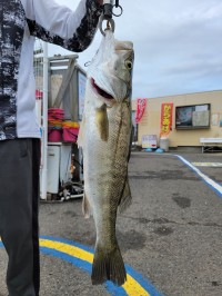 和歌山マリーナシティ釣り公園 釣果