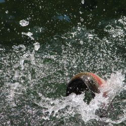 小菅トラウトガーデン 釣果