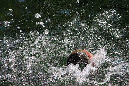 小菅トラウトガーデン 釣果