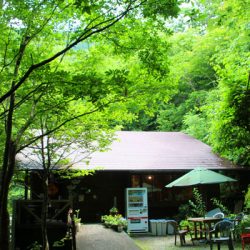 小菅トラウトガーデン 釣果