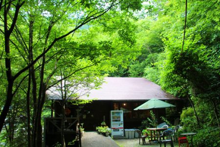 小菅トラウトガーデン 釣果