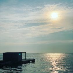 本部釣りイカダ 釣果