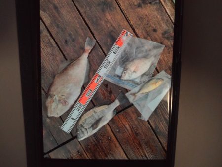 こかわ渡船　雅丸 釣果