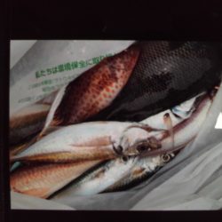 こかわ渡船 雅丸 釣果