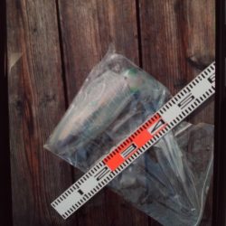 こかわ渡船　雅丸 釣果