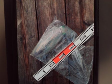 こかわ渡船　雅丸 釣果