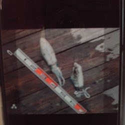 こかわ渡船　雅丸 釣果