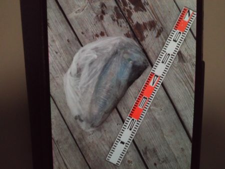 こかわ渡船　雅丸 釣果