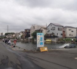 朝霞ガーデン 釣果