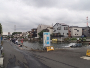朝霞ガーデン 釣果