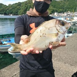 筏マルキ 釣果