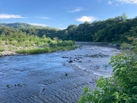 秩父フライフィールド 釣果