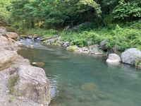 秩父フライフィールド 釣果