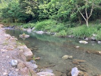 秩父フライフィールド 釣果