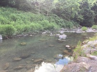 秩父フライフィールド 釣果