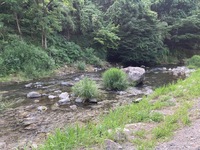 秩父フライフィールド 釣果