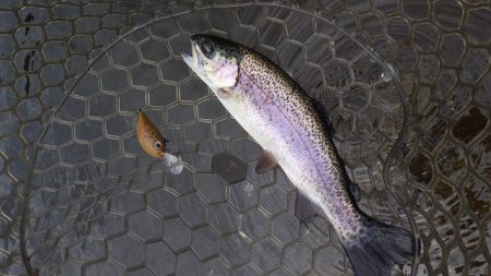 平谷湖フィッシングスポット 釣果