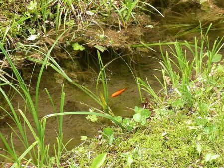 平谷湖フィッシングスポット 釣果