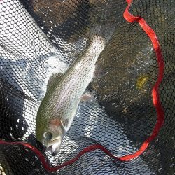 平谷湖フィッシングスポット 釣果