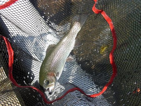 平谷湖フィッシングスポット 釣果