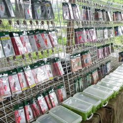 平谷湖フィッシングスポット 釣果