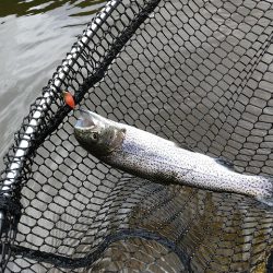 平谷湖フィッシングスポット 釣果