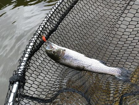平谷湖フィッシングスポット 釣果