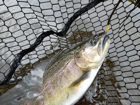 平谷湖フィッシングスポット 釣果