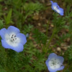 平谷湖フィッシングスポット 釣果