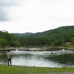 平谷湖フィッシングスポット 釣果
