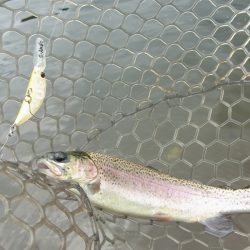 平谷湖フィッシングスポット 釣果