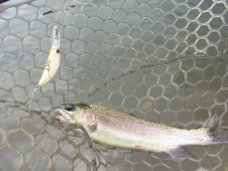 平谷湖フィッシングスポット 釣果