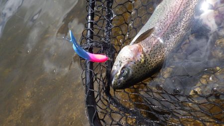 平谷湖フィッシングスポット 釣果