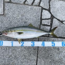 ショアジギング