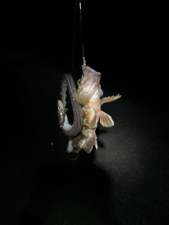 濁りは最高の…